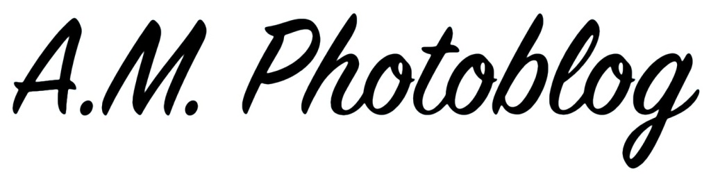 A.M. Photoblog logo